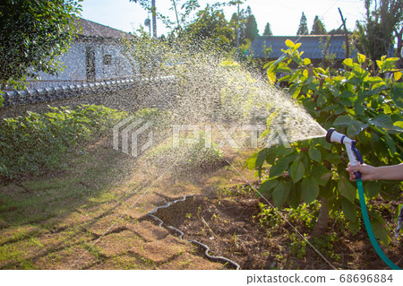 Watering plants in the garden Watering plants in the garden 68696884