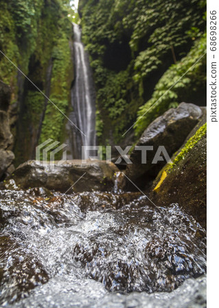 Sekumpul Waterfalls surrounded by tropical forest Sekumpul Waterfalls surrounded by tropical forest 68698266