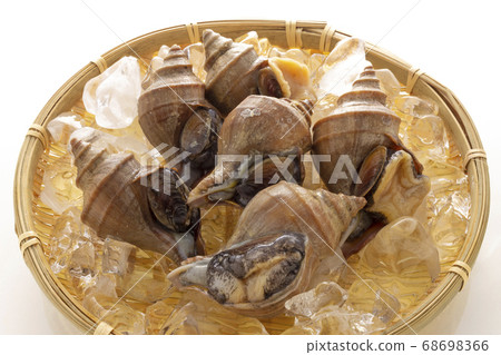 Fresh mash, Ezo mussels 68698366