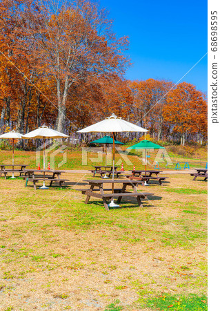 秋季戶外咖啡館圖片白馬山港[長野縣] 68698595