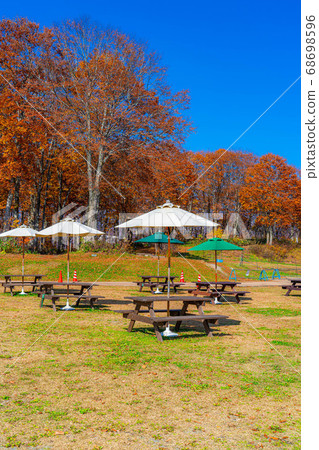 秋季戶外咖啡館圖片白馬山港[長野縣] 68698596