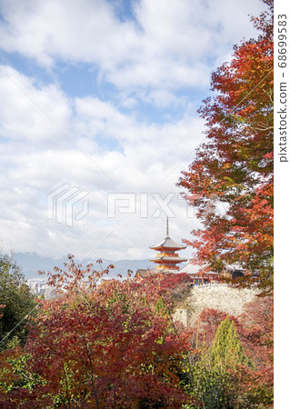 Kiyomizu寺廟的秋葉 68699583