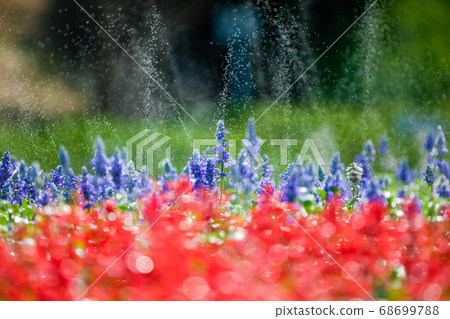 它是La Venter花田的風景。請使用鮮豔的色彩作為背景。 68699788