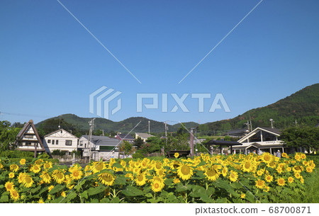 Hadano Okura Bus Stop 68700871