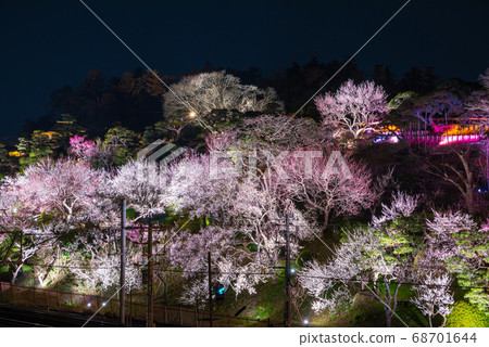 Kairakuen Mito's Ume Festival Illuminated exterior Night view (Mito City, Ibaraki Prefecture) March 2019 68701644