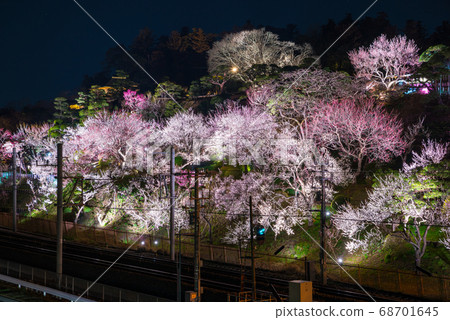 air樂園水戶梅花節燈光夜景（茨城縣水戶市）2019年3月 68701645
