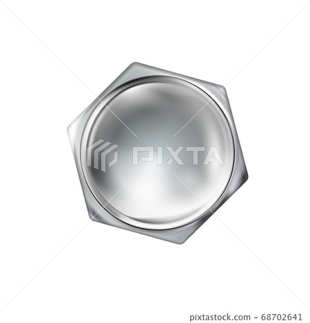 Glossy polished metal realistic bolt head 68702641