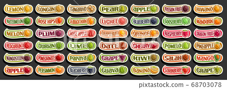 Vector set of fresh Fruits 68703078