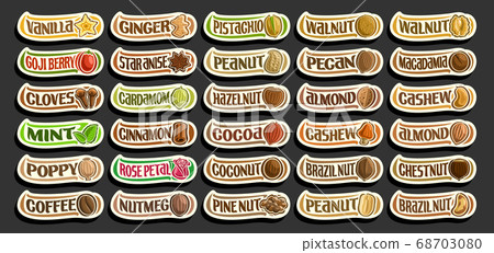 Vector set of Spices and Nuts 68703080