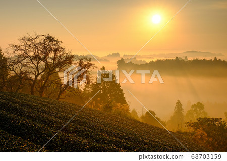 茶園，雲海和朝日（奈良縣奈良市） 68703159