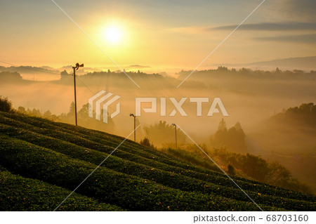 茶園，雲海和朝日（奈良縣奈良市） 68703160
