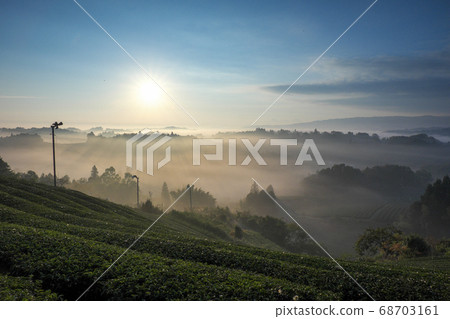 茶園，雲海和朝日（奈良縣奈良市） 68703161