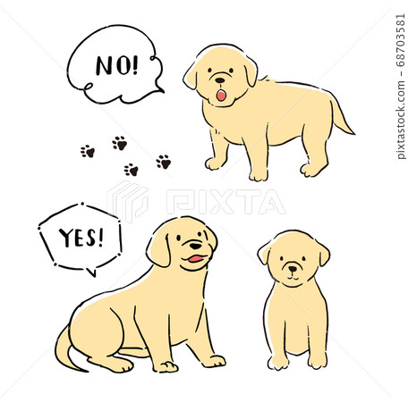 Labrador retriever line art vector illustration 68703581