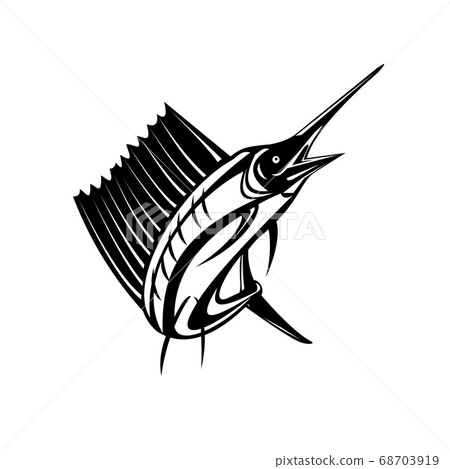 Atlantic Sailfish or Indo-Pacific Sailfish a 68703919