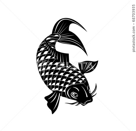 Koi Jinli or Nishikigoi Brocaded Carp a Colored Koi Jinli or Nishikigoi Brocaded Carp a Colored 68703935