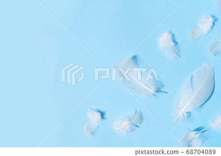 Colorful pattern made of feathers. 68704089