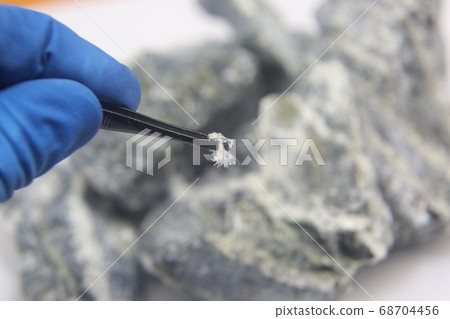 Chrysotile asbestos fiber close up. 68704456
