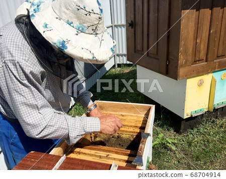 Winged bee slowly flies to beekeeper collect 68704914