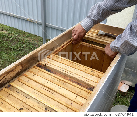 Winged bee slowly flies to beekeeper collect 68704941