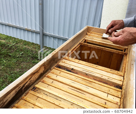 Winged bee slowly flies to beekeeper collect Winged bee slowly flies to beekeeper collect 68704942
