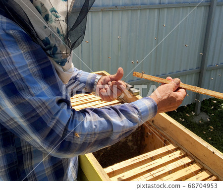 Winged bee slowly flies to beekeeper collect 68704953
