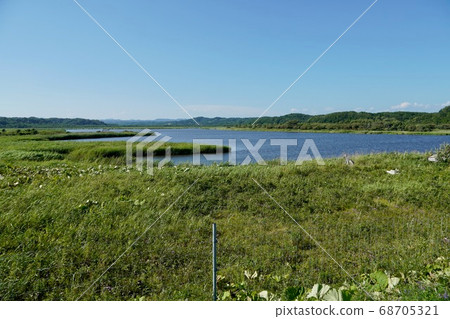 馬匹主人沼沼/夏 馬匹主人沼沼/夏 68705321