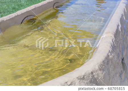 Man-made decorative water channel in the garden 68705815