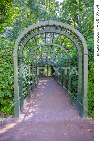 Path for pedestrians in the summer park Path for pedestrians in the summer park 68705834