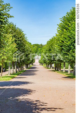 Path for pedestrians in the summer park Path for pedestrians in the summer park 68705836