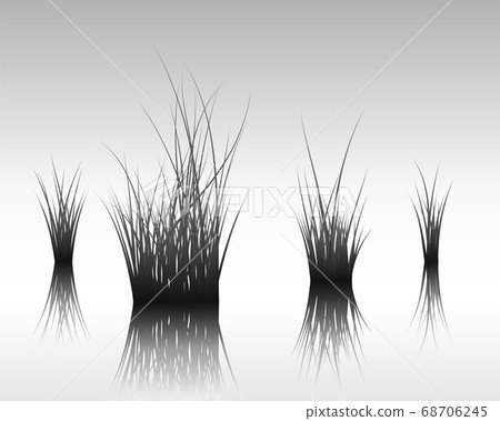 grass on water grass on water 68706245