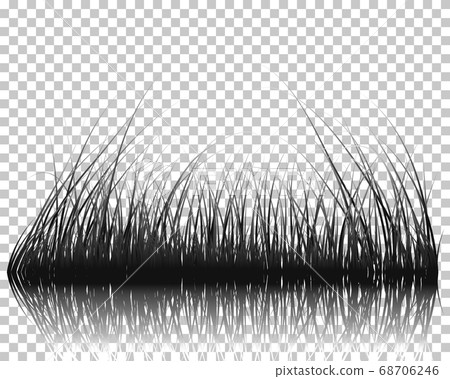 grass on water grass on water 68706246