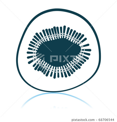 Icon Of Kiwi 68706544