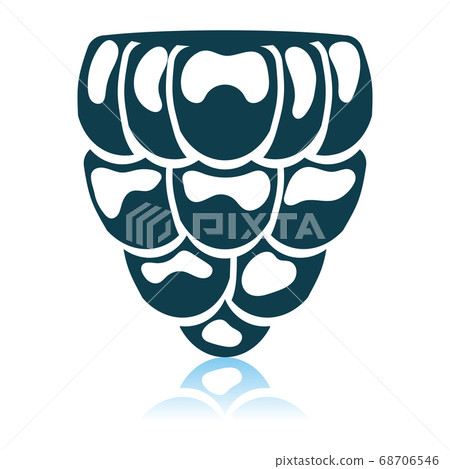 Icon Of Raspberry 68706546