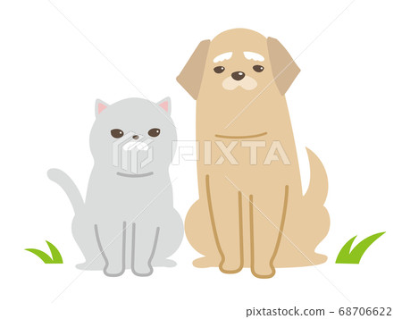 高級貓和狗 68706622