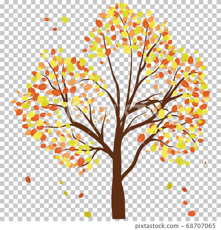 Autumn birch 68707065