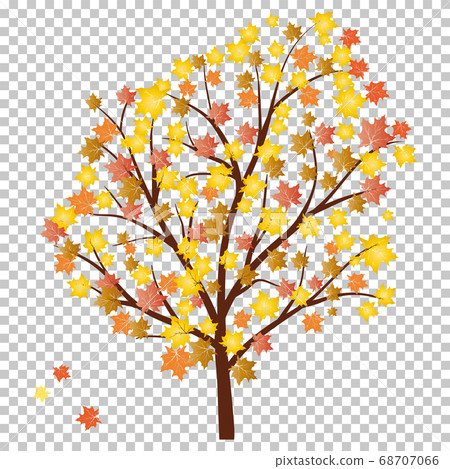 Autumn maples 68707066