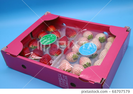 故鄉和稅收申報產品:紅色草莓和白色草莓 故鄉和稅收申報產品:紅色草莓和白色草莓 68707579