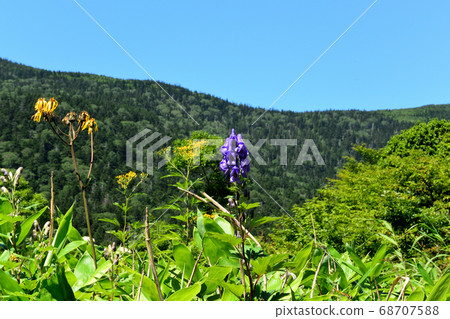 Azuma's mountain peak 68707588