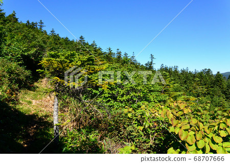 Azuma's mountain peak 68707666