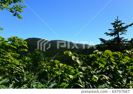 Azuma的山峰 Azuma的山峰 68707667