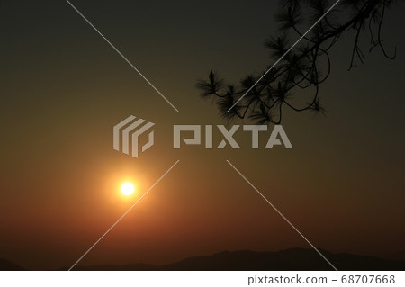 Background branches silhouette against a sunset. Background branches silhouette against a sunset. 68707668