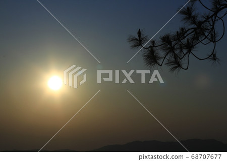 Background branches silhouette against a sunset. Background branches silhouette against a sunset. 68707677