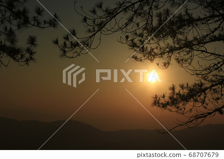 Background branches silhouette against a sunset. Background branches silhouette against a sunset. 68707679