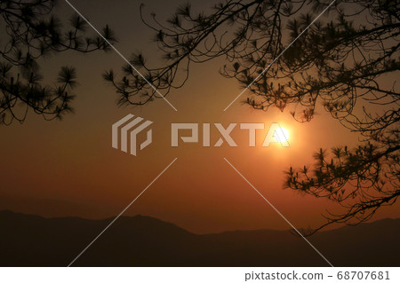 Background branches silhouette against a sunset. 68707681