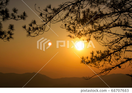 Background branches silhouette against a sunset. 68707683