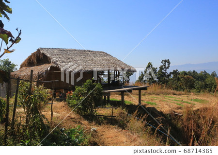 northern thailand village terraces farm northern thailand village terraces farm 68714385