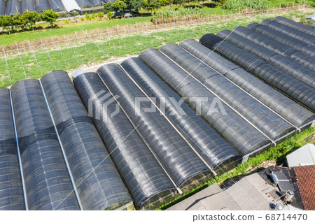 aerial view of greenhouse at Puli township 68714470