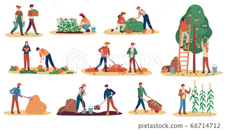 Autumn harvest. Farm workers gathering crops ripe vegetables, picking fruits and berries, remove leaves, season agriculture vector set 68714712