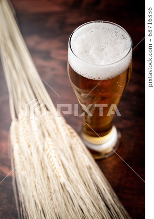 beer in tap with bunch of barley 68716336