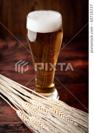 beer in tap with bunch of barley beer in tap with bunch of barley 68716337